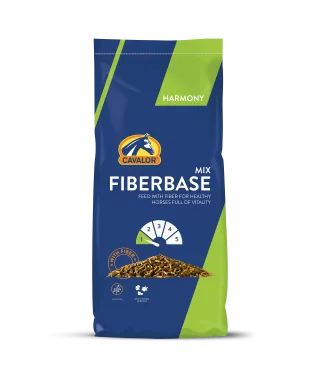 Fiberbase
