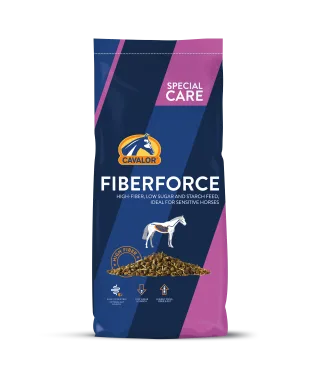 Fiberforce 2
