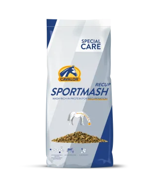 Sportmash