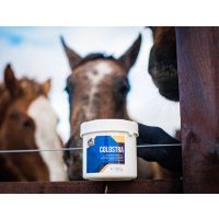 Siara zastępcza dla źrebaka Cavalor Colostra 
