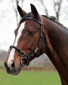 Kawecan skórzany Horka