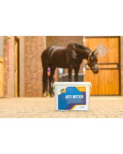 Suplement na stawy i ścięgna konia Cavalor Arti Motion 5 kg