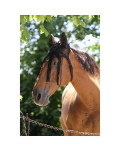 Nauszniki z frędzlami EquiTheme