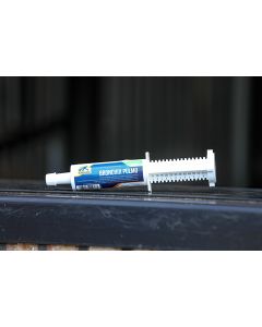 Pasta na g&oacute;rne drogi oddechowe dla konia Cavalor Bronchix Pulmo