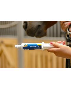 Pasta na problemy jelitowe konia Cavalor Emergency 911