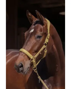 Kantar Eskadron Faux Leather Double Pin Heritage 25/26