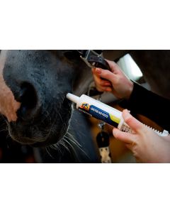 Pasta na wrzody żołądka u konia Cavalor Gastro Aid Paste