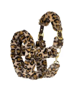 Kantar START Teddy Leopard