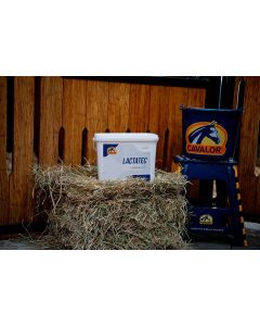 Suplement na zakwasy u konia Cavalor LactaTec 5 kg