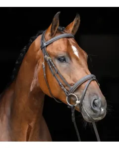 Ogłowie skórzane Covalliero Classic