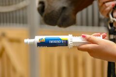 Pasta na problemy jelitowe konia Cavalor Emergency 911