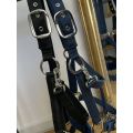 Kantar Equestrian Queen Athens 24SS