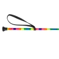 Palcat START String Rainbow