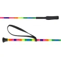 Palcat START String Rainbow