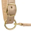 Kantar Equestrian Queen Rotterdam 25SS