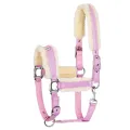 Kantar Equestrian Queen Rotterdam 25SS