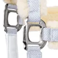 Kantar Equestrian Queen Rotterdam 25SS