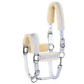 Kantar Equestrian Queen Rotterdam 25SS