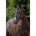 Kantar Covalliero Hippo