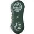 Zestaw szczotek Magic Brush CornFlowers