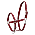Kantar Waldhausen Satin