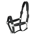 Kantar Waldhausen Breath