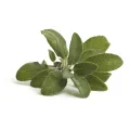 Szałwia Equiherbs 200g