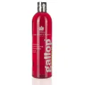 Szampon dla koni gniadych C&D&M Gallop 500ml