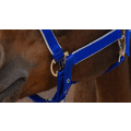 Kantar EquiTheme Nylon Light