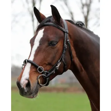 Kawecan skórzany Horka Kawecan skórzany Horka