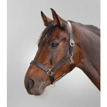 Kantar skórzany Wladhausen Diamond