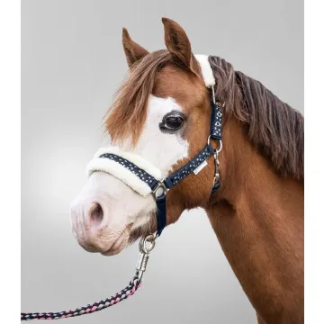 Kantar z uwiązem Waldhausen Lucky