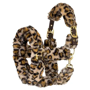 Kantar START Teddy Leopard