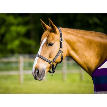 Kantar NORTON DIAMOND