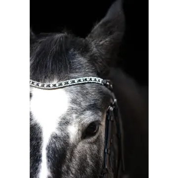 Naczółek EQ.Queen Hebe