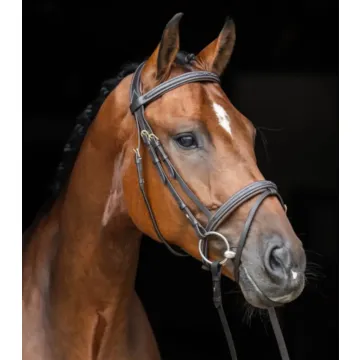 Ogłowie sk&oacute;rzane Covalliero Classic