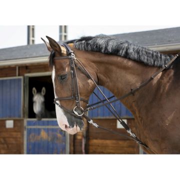 GOG Z KRĄŻKAMI  RIDING WORLD