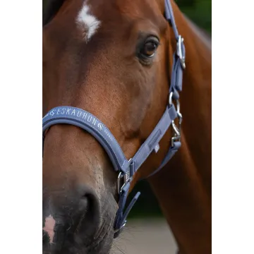 Kantar Eskadron Sparkle Double Pin Classic Sports S/S 2026