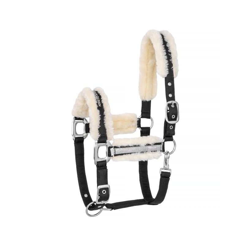 Kantar EQ.QUEEN Riga 24AW