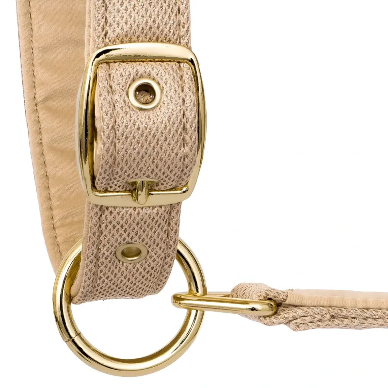 Kantar Equestrian Queen Rotterdam 25SS