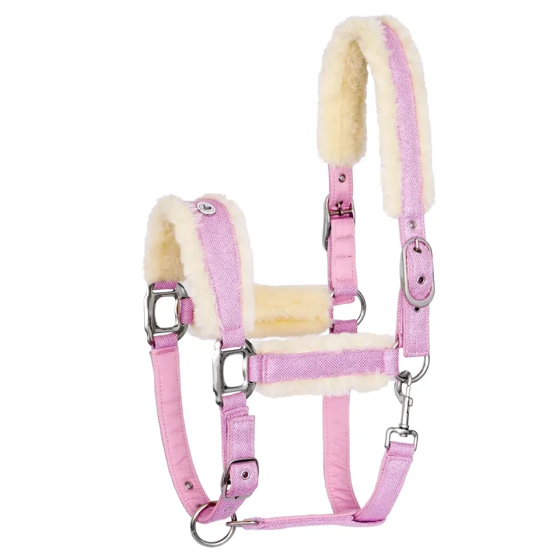 Kantar Equestrian Queen Rotterdam 25SS