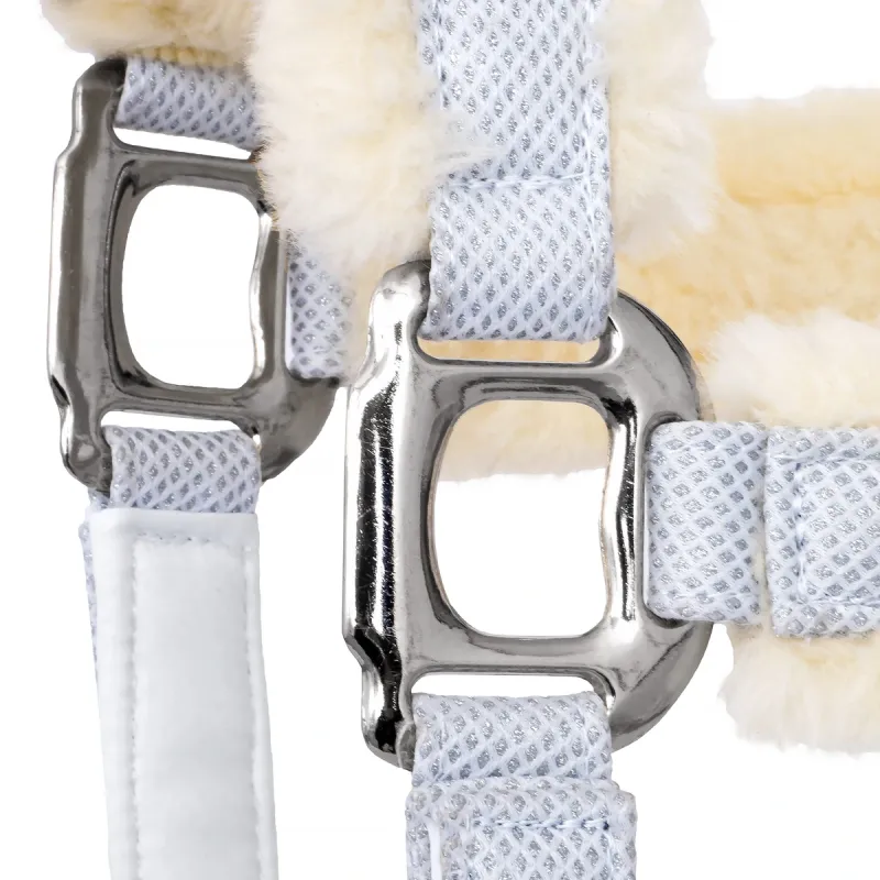 Kantar Equestrian Queen Rotterdam 25SS