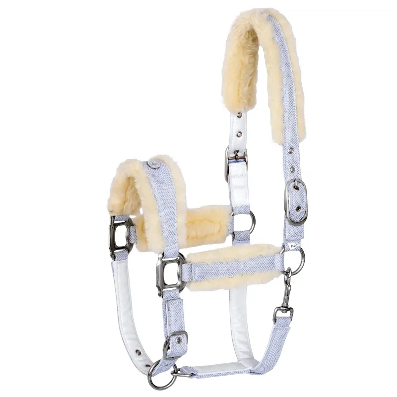 Kantar Equestrian Queen Rotterdam 25SS