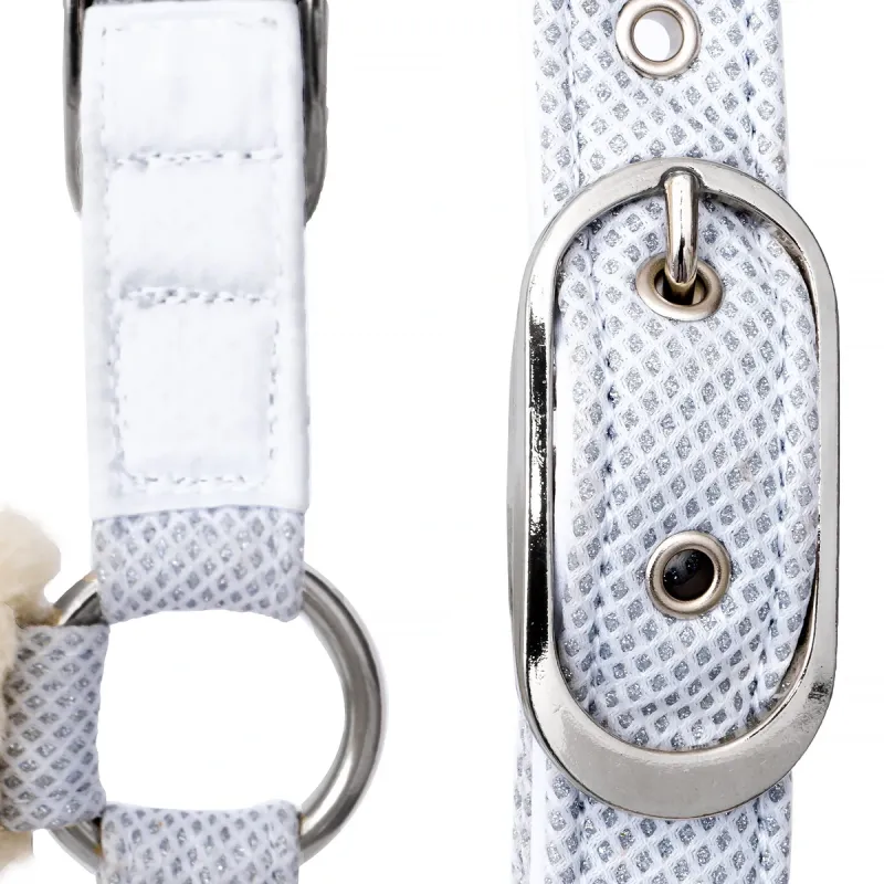 Kantar Equestrian Queen Rotterdam 25SS