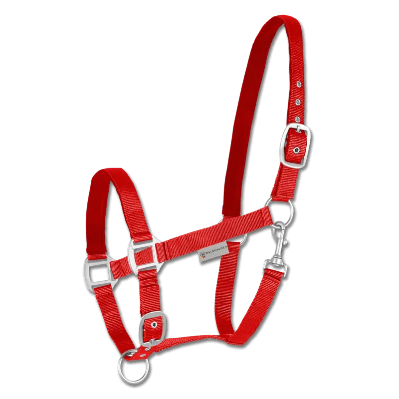Kantar Waldhausen Satin
