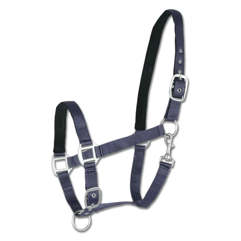 Kantar Waldhausen Satin