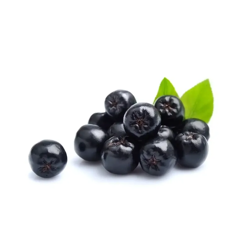 Aronia Equiherbs 500g