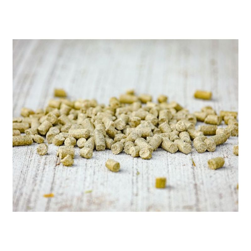Granulat dla koni sportowych Cavalor Action Pellet 20 kg