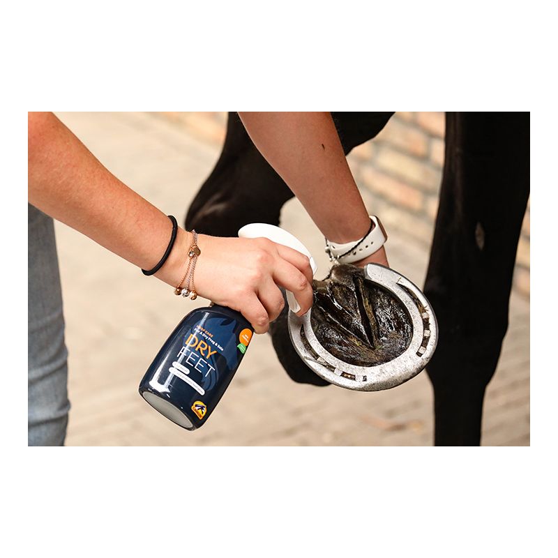 Preparat na gnijące strzałki Cavalor Dry Feet 250 ml
