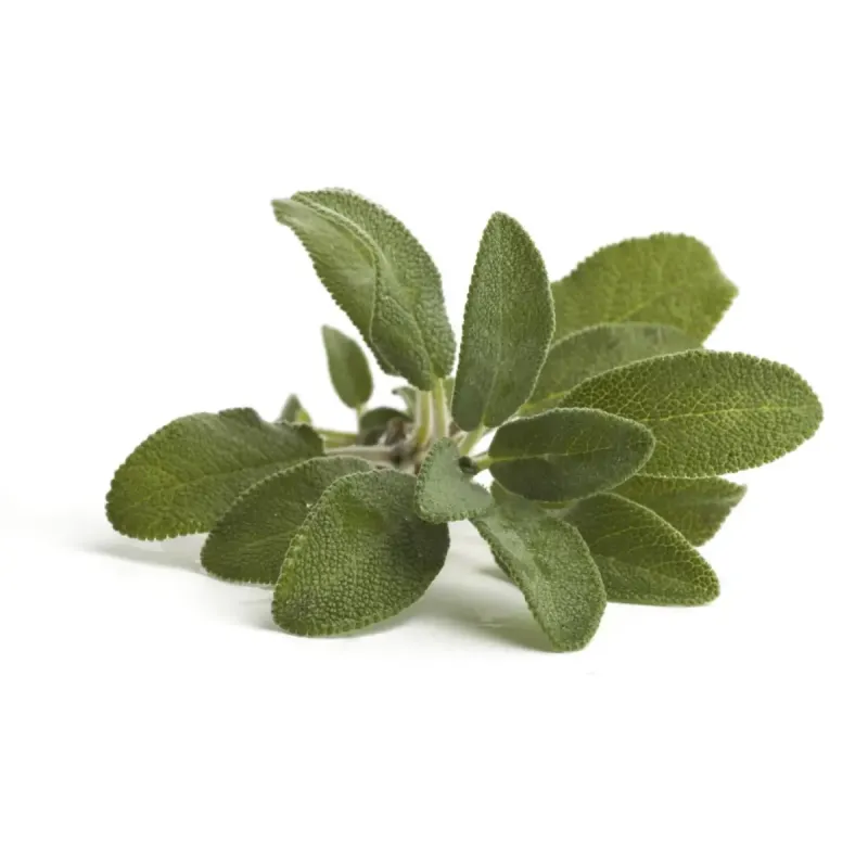 Szałwia Equiherbs 500g